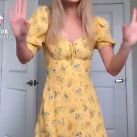 NWOT Reformation Lillet Dress size 4 in Felicity - Picture 4 of 8